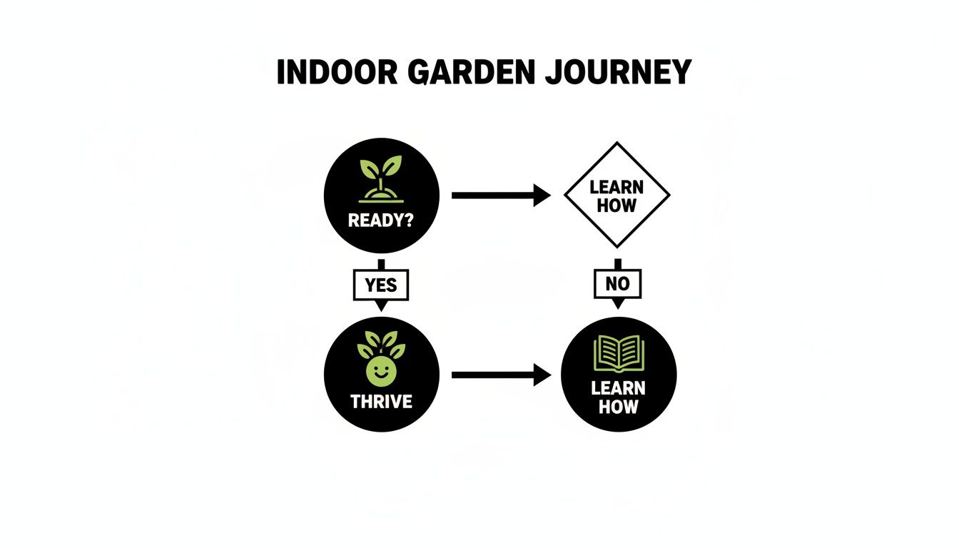 Flowchart illustrating the indoor garden journey from readiness to learning how to thrive.