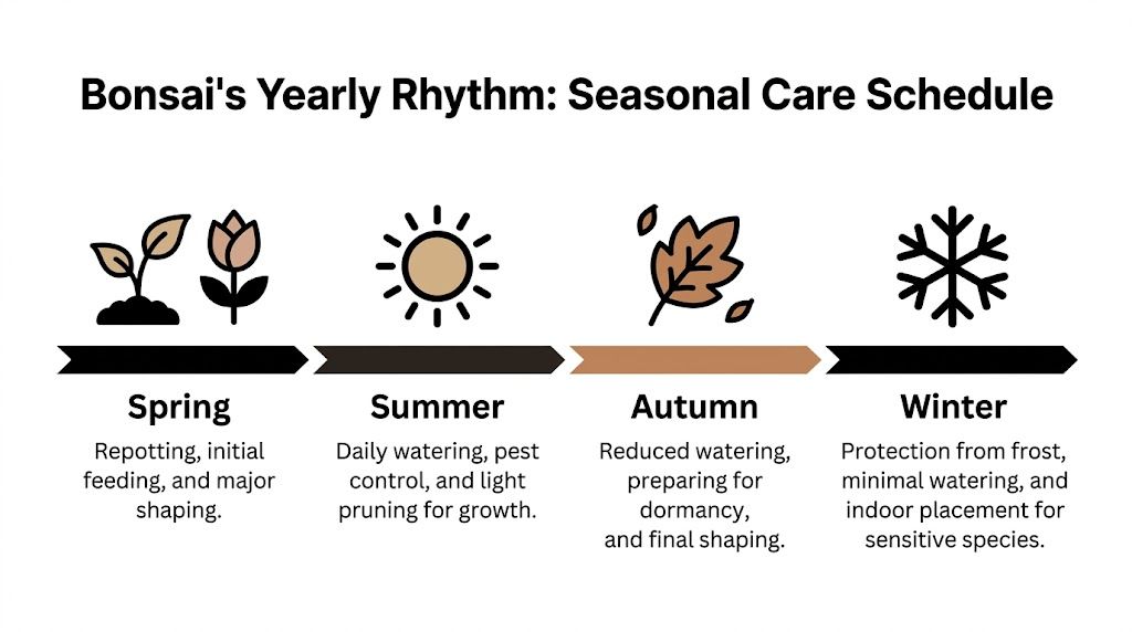 A seasonal infographic titled Bonsai Yearly Rhythm showing essential maintenance tips for spring, summer, autumn, and winter.