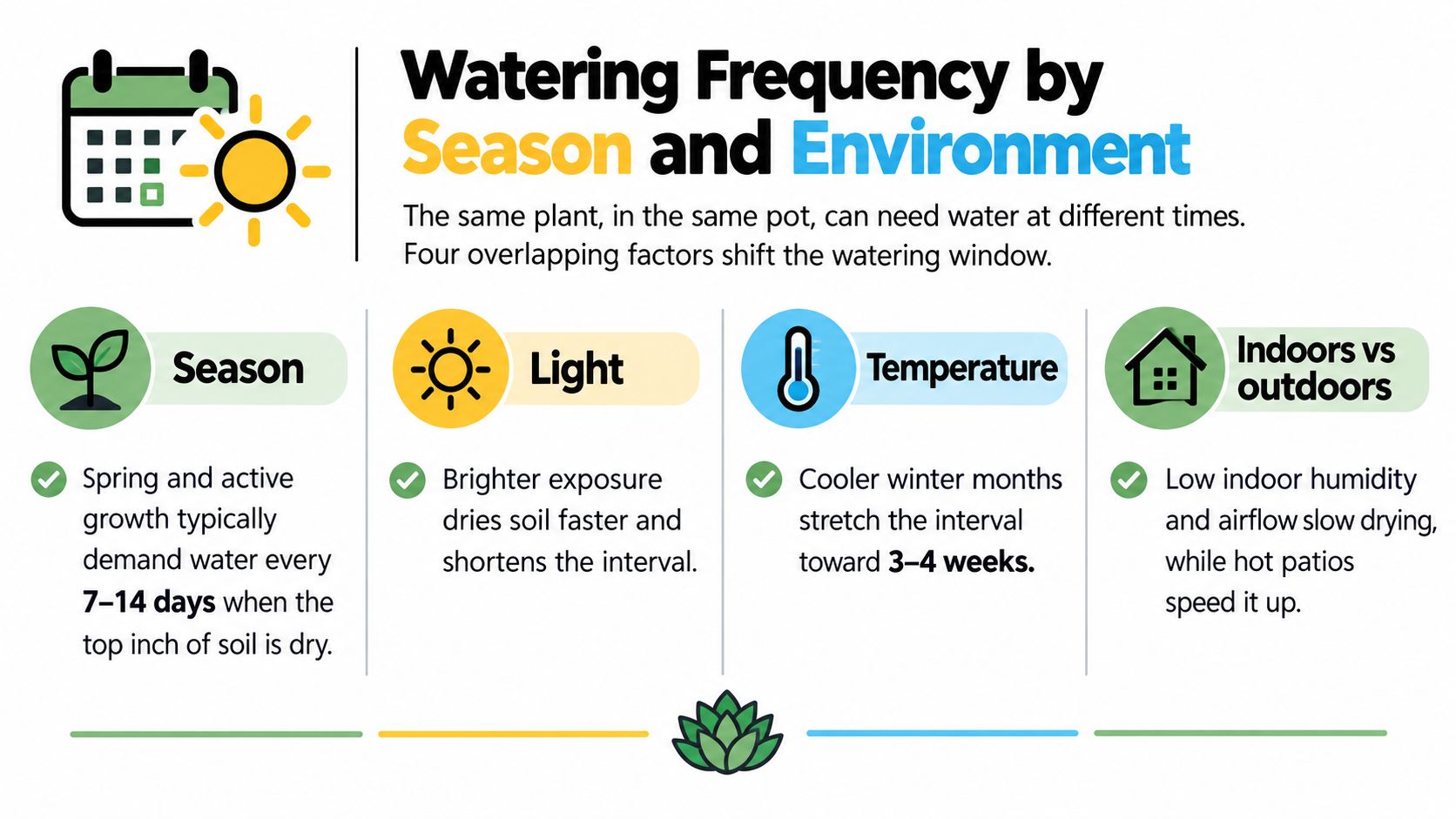 An infographic showing four key factors that influence watering frequency for indoor and outdoor potted plants.