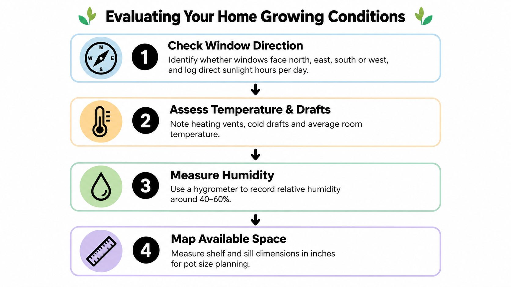 A four-step guide for evaluating home indoor growing conditions for plants, covering light, temperature, humidity, and space.