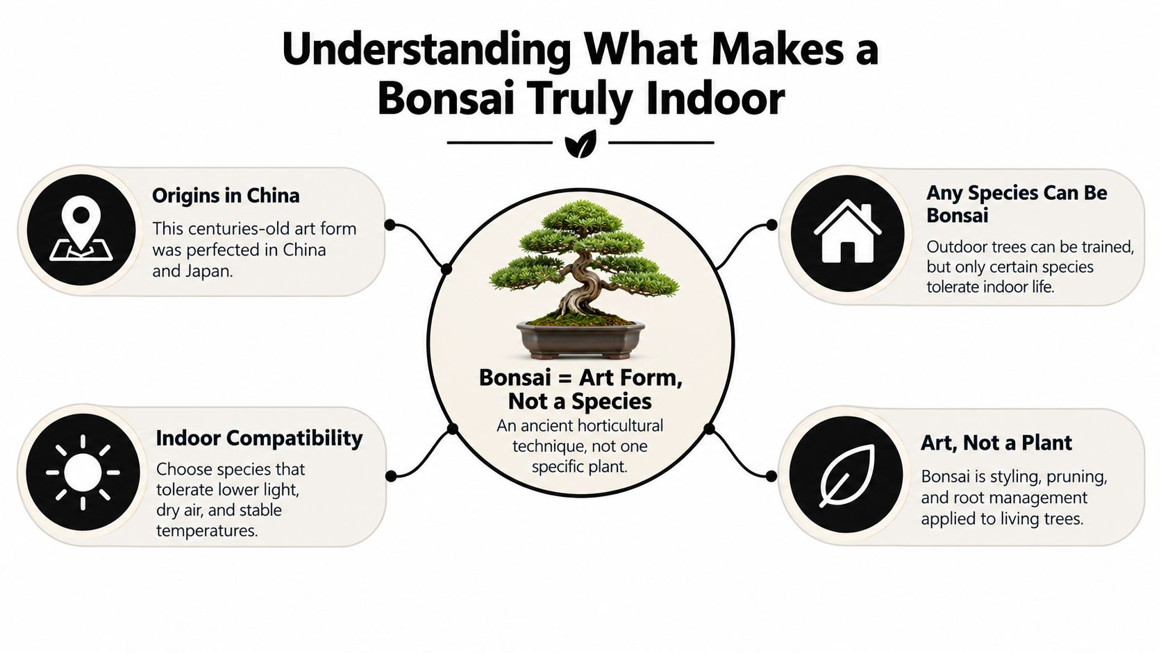 An infographic explaining that bonsai is an art form using various tree species suitable for indoor living.