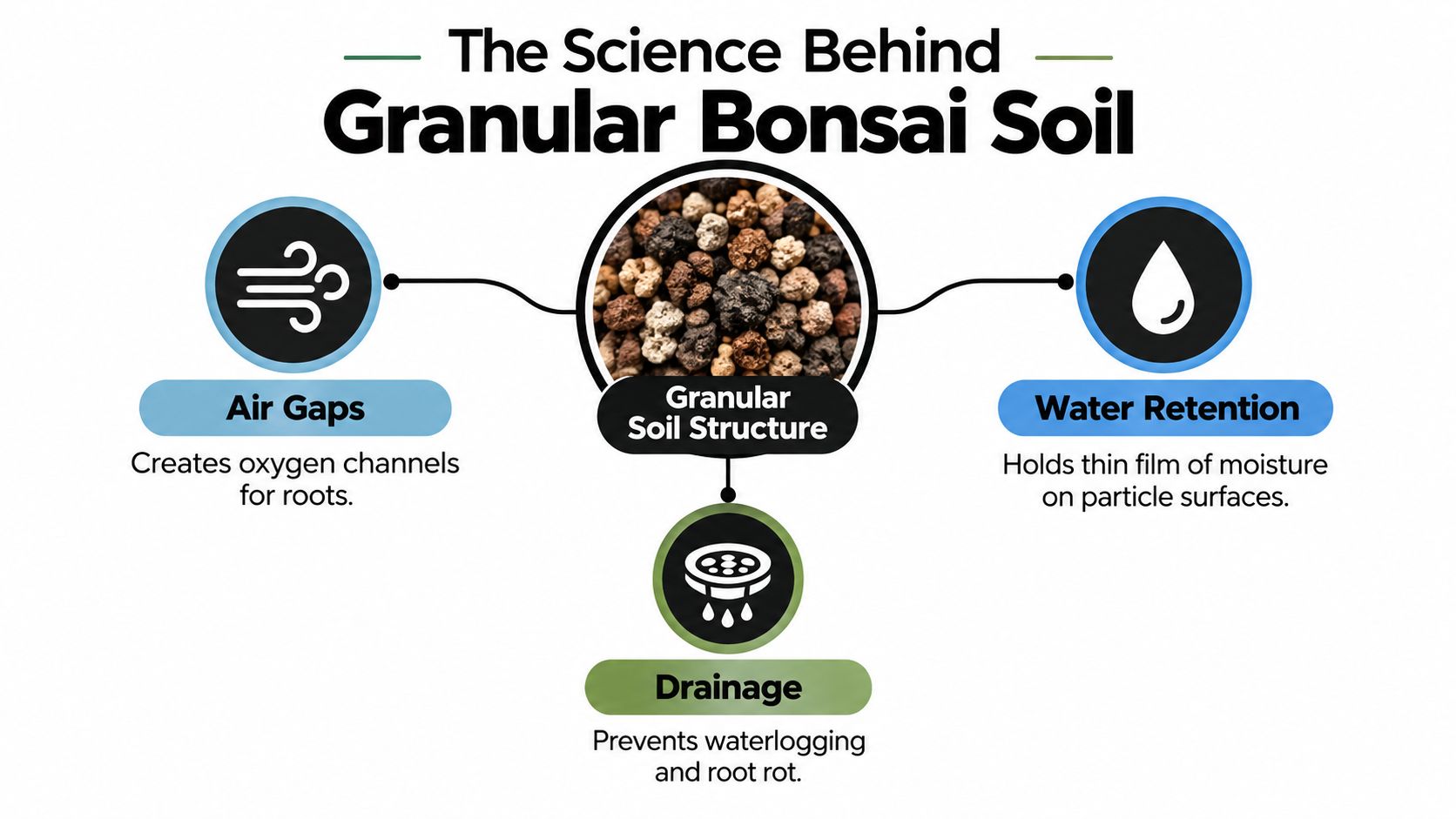 A diagram explaining the science of granular bonsai soil, showing air gaps, water retention, and drainage properties.