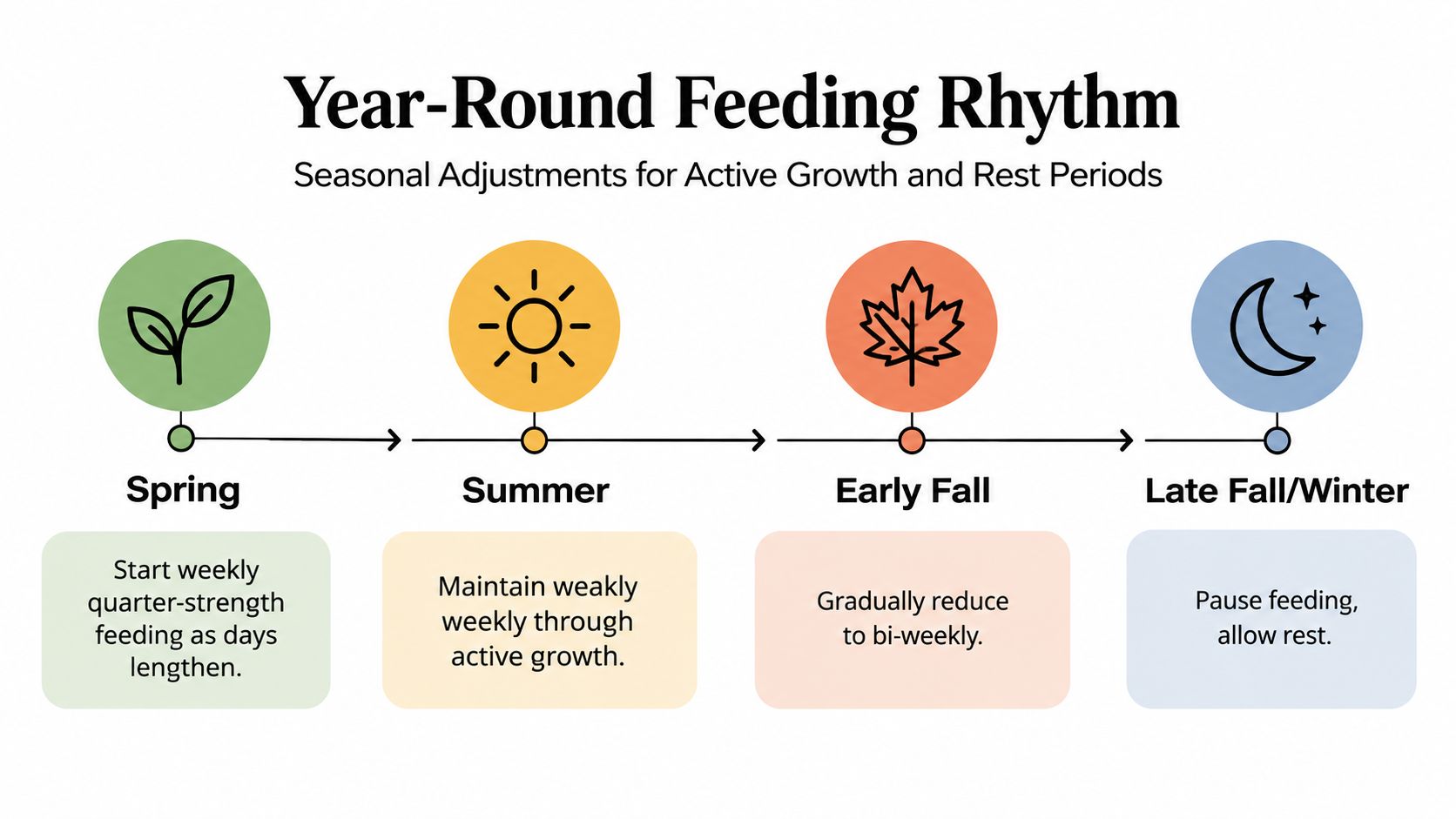 An infographic showing a year-round feeding rhythm for plants, detailing seasonal fertilizer adjustments from spring to winter.