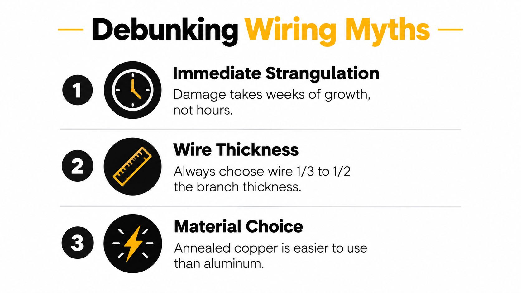 An infographic detailing three common myths about bonsai wiring including timing, wire thickness, and material choices.