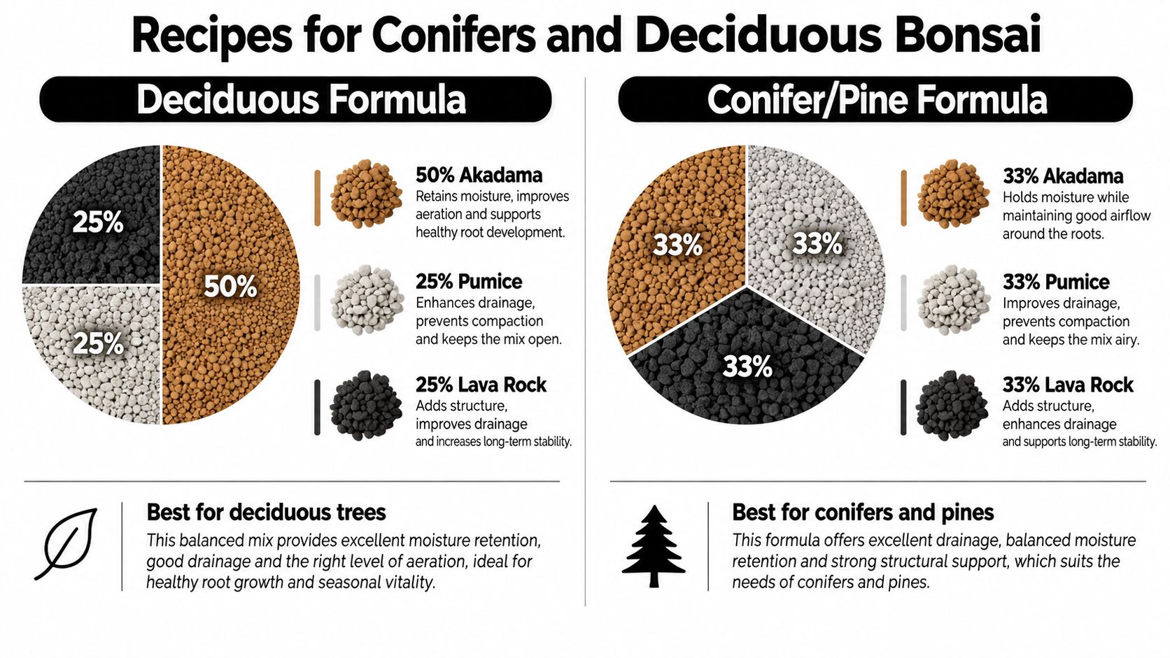 An infographic showing two bonsai soil recipes with percentages for deciduous trees and conifer pine trees.