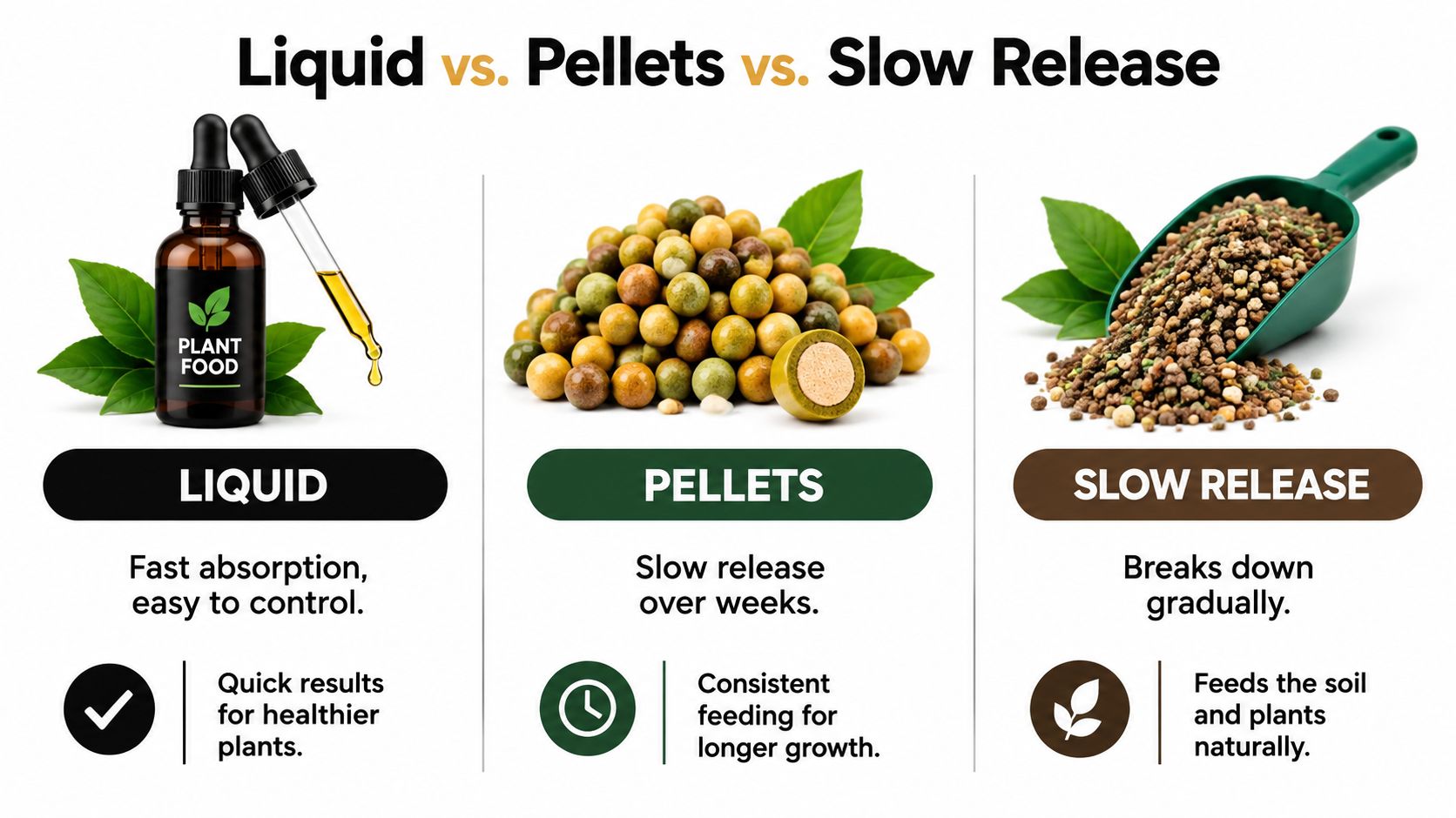 A comparison chart showing liquid plant food, pellets, and slow-release fertilizer for healthy indoor houseplant care.