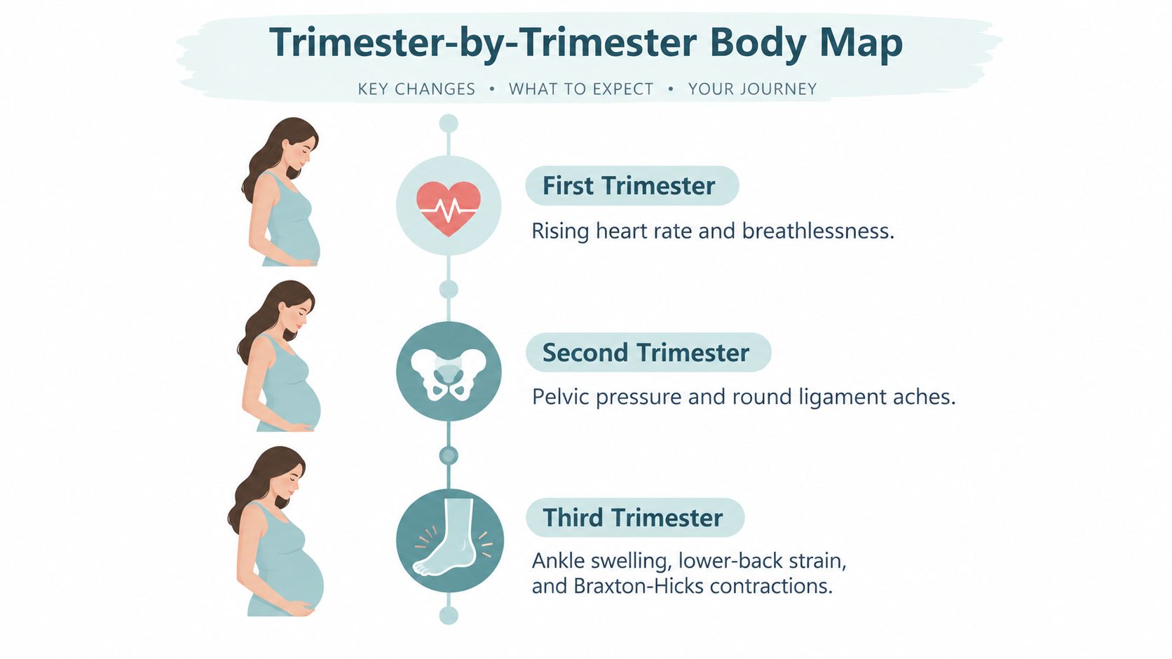 A visual guide showing common physical symptoms and body changes during each of the three trimesters of pregnancy.