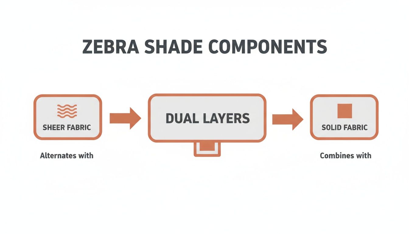 flowchart illustrating zebra shade components: sheer fabric alternates with and solid fabric combines with dual layers.
