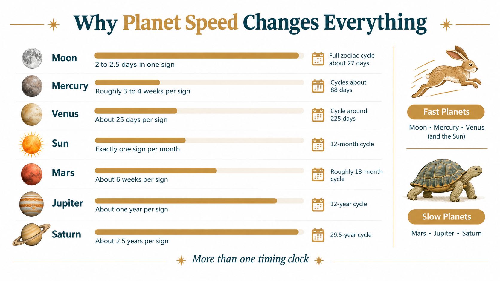 An infographic detailing the orbital cycles and speeds of various celestial bodies through zodiac signs.