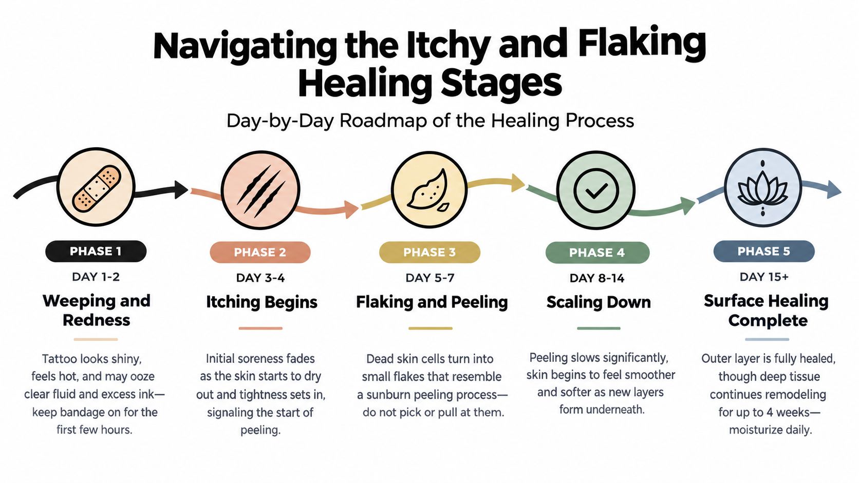 A day-by-day infographic roadmap outlining the five healing stages of a new tattoo on skin.