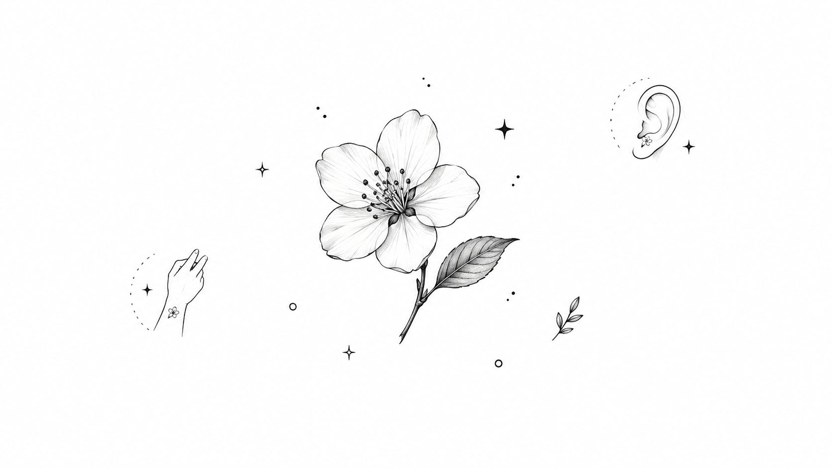 A delicate sketch of an apple blossom flower with a hand and an ear showing tattoo placements.