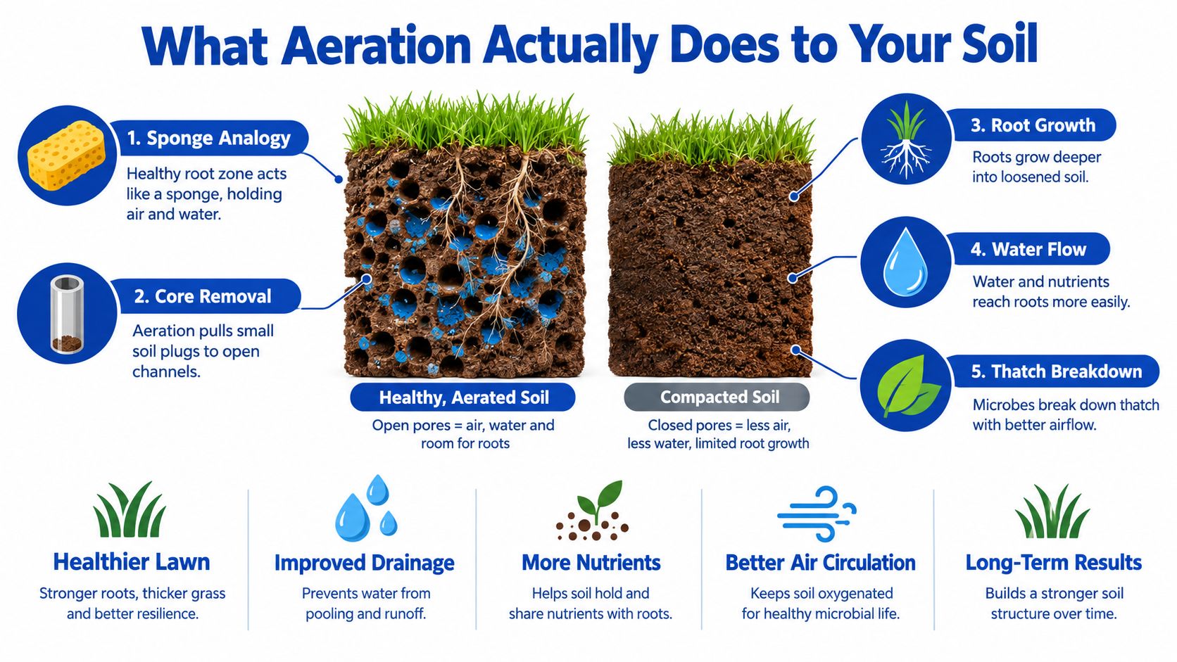 An infographic illustrating how lawn aeration improves soil health, drainage, root growth, and nutrient absorption for grass.