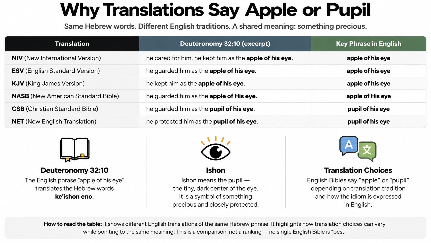 A chart comparing how different Bible translations use the phrases apple of his eye or pupil of his eye.
