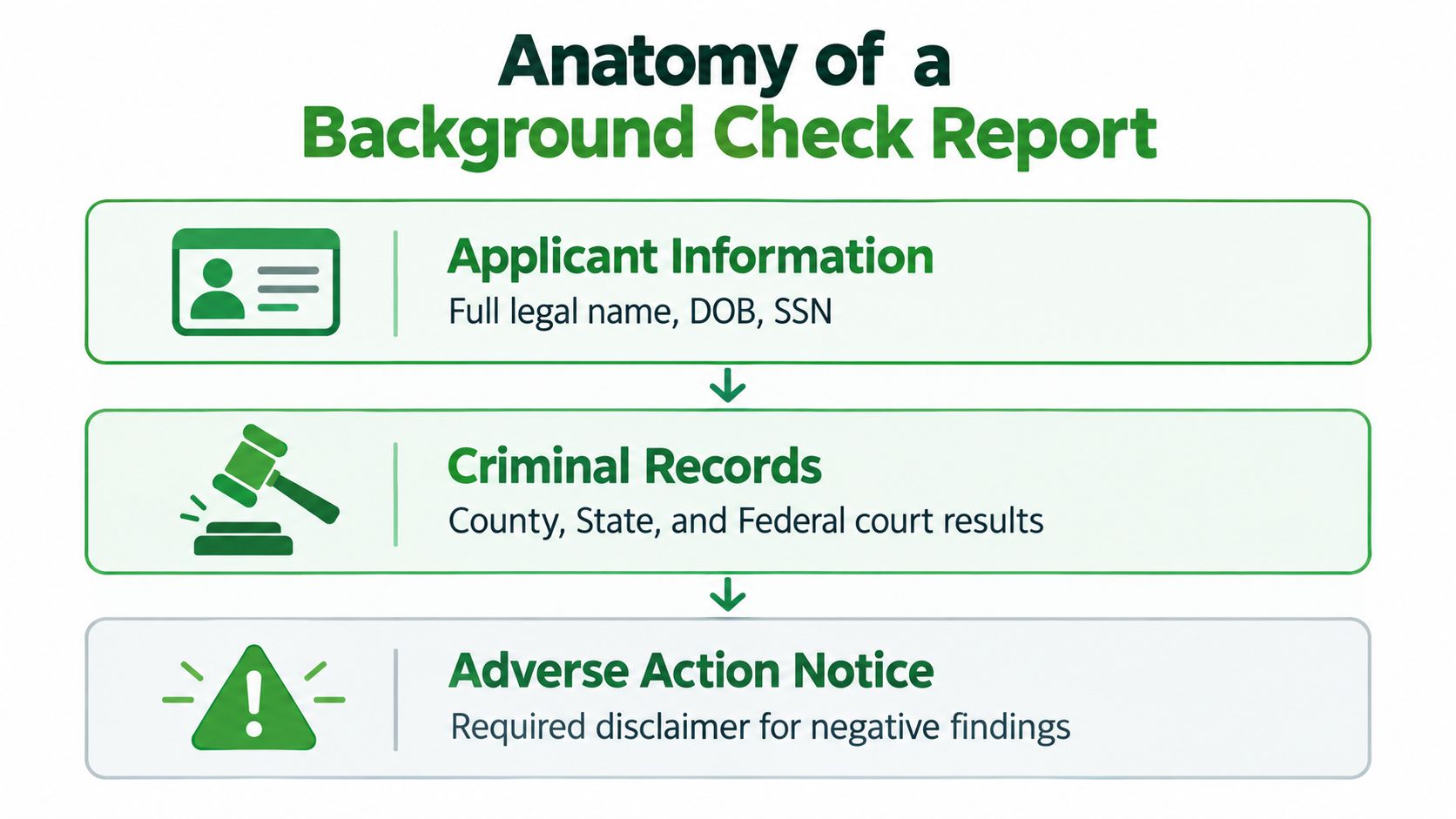 An infographic titled Anatomy of a Background Check Report showing applicant information, criminal records, and adverse action notice.