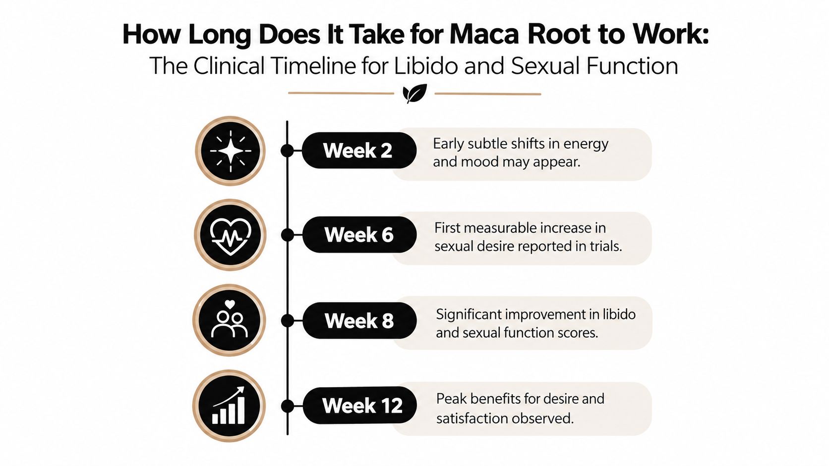 A clinical timeline infographic showing that maca root benefits for libido gradually appear between weeks two and twelve.