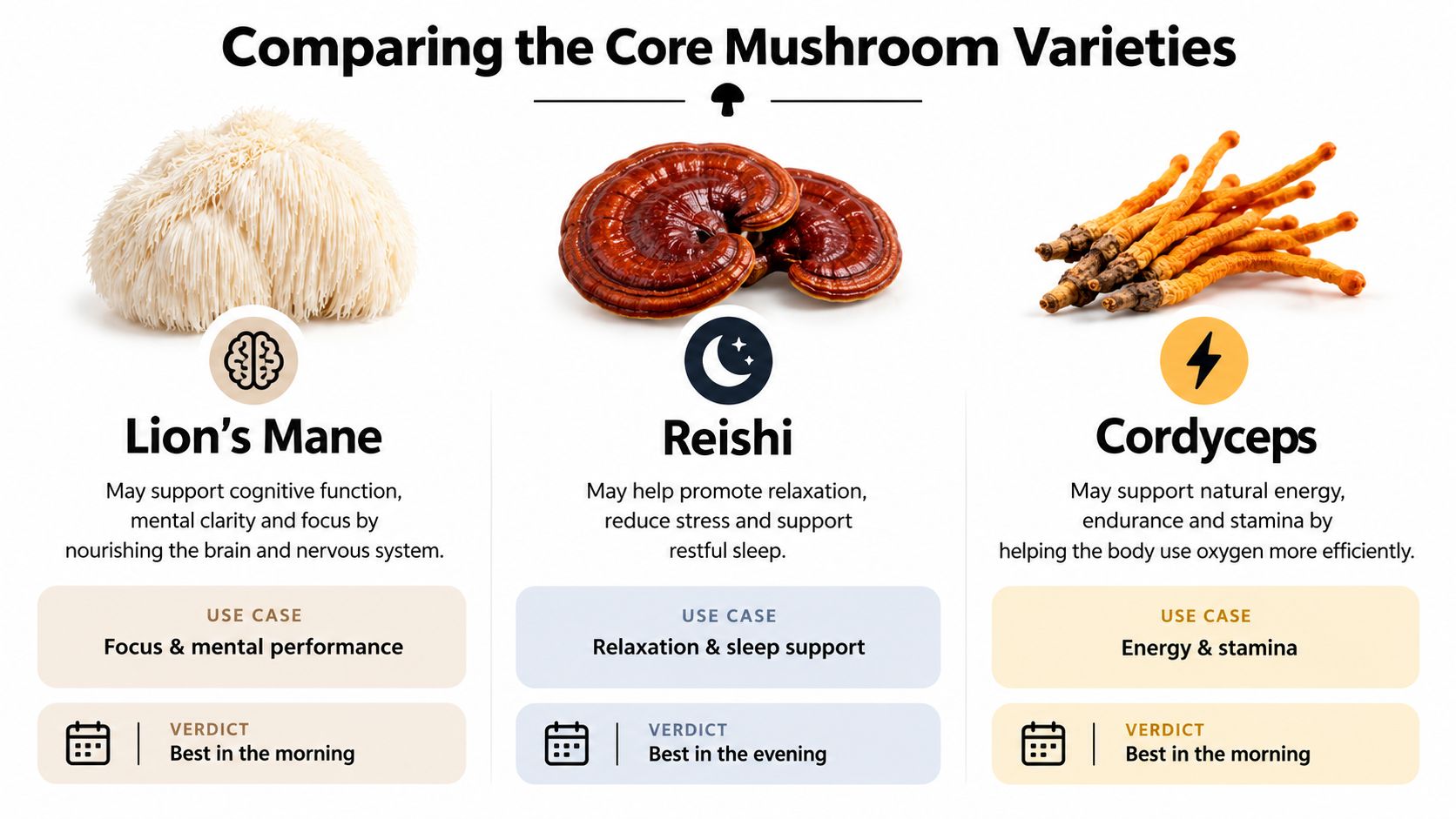 A comparison chart of three core mushroom varieties: Lion's Mane, Reishi, and Cordyceps, outlining their benefits and uses.
