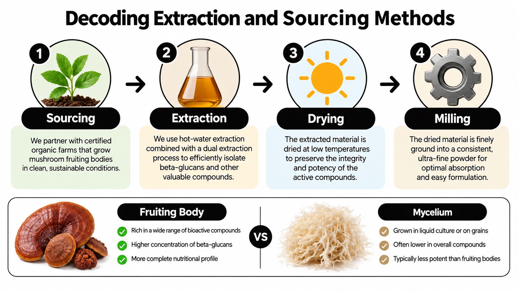 A diagram illustrating the four-step process for producing premium, high-quality functional mushroom powder from fruiting bodies.
