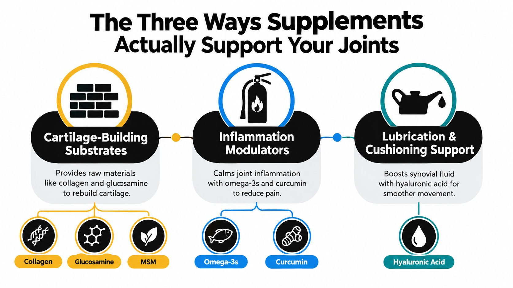 An infographic titled The Three Ways Supplements Actually Support Your Joints, explaining cartilage building, inflammation reduction, and lubrication.