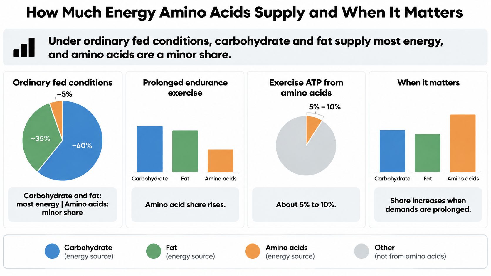 A chart illustrating how amino acids contribute to energy production during ordinary conditions and prolonged endurance exercise.