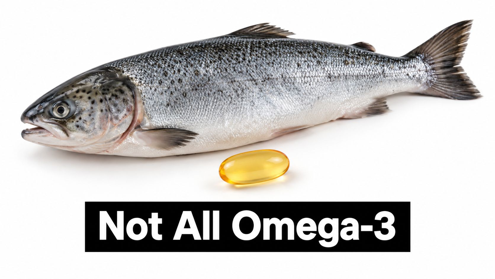 A fresh whole Atlantic salmon fish beside a single yellow omega-3 fish oil supplement capsule.