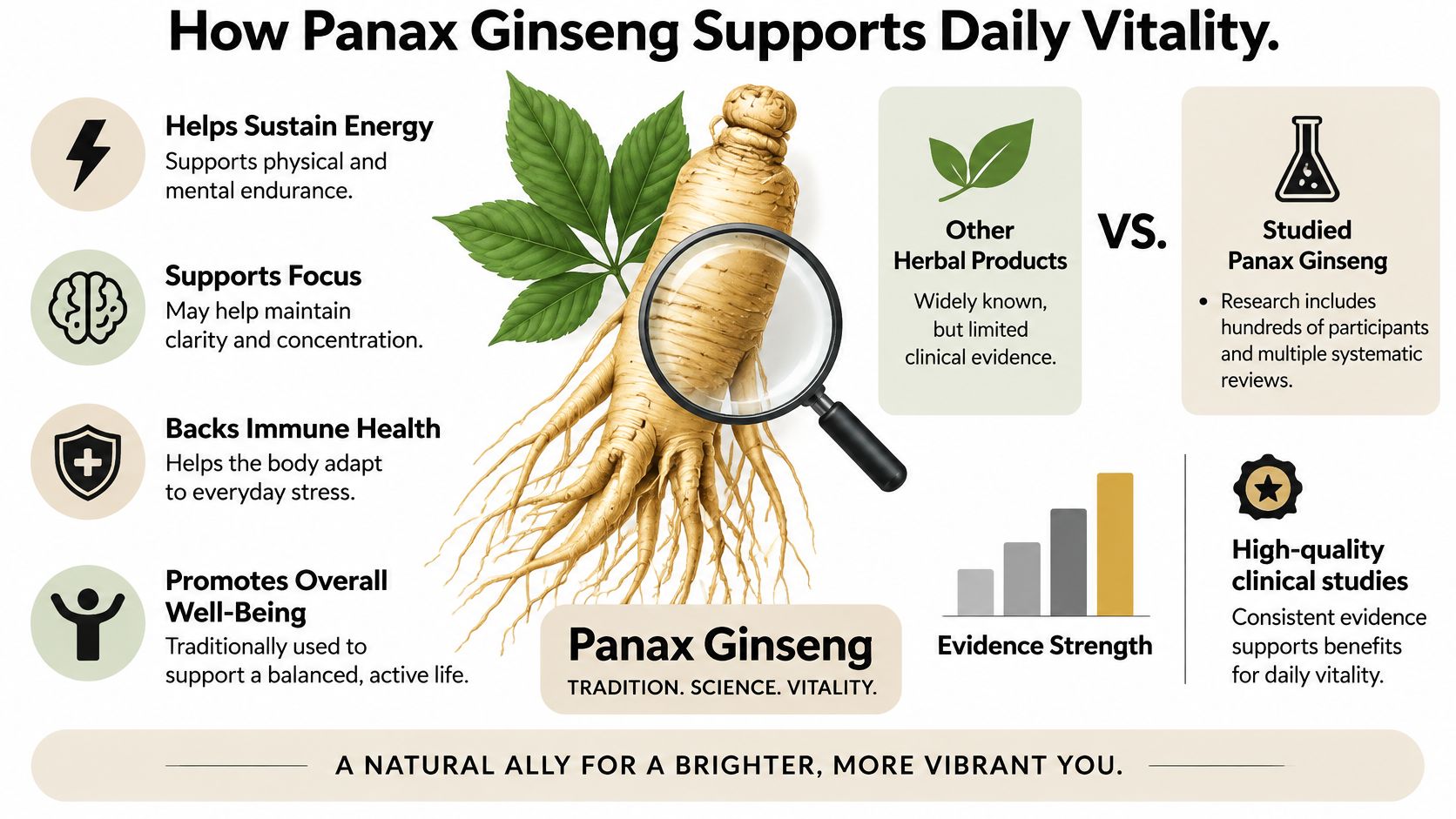 An infographic detailing the health benefits of Panax Ginseng for energy, focus, immune health, and well-being.