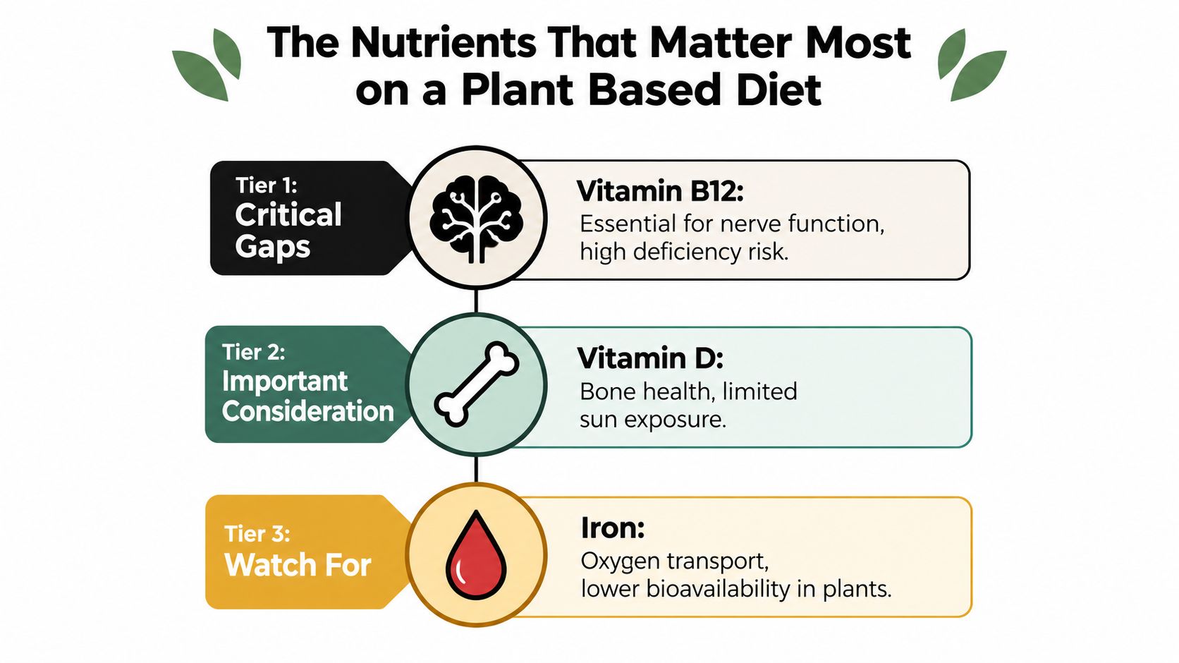 A chart illustrating key nutrients for a plant-based diet, including Vitamin B12, Vitamin D, and Iron.
