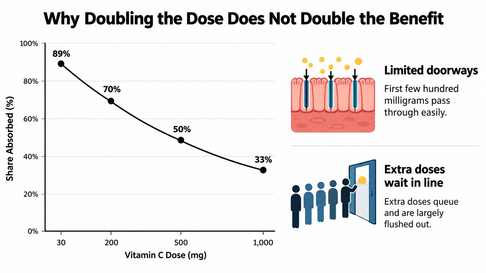 A chart showing how vitamin C absorption percentage decreases as the dosage in milligrams increases over time.
