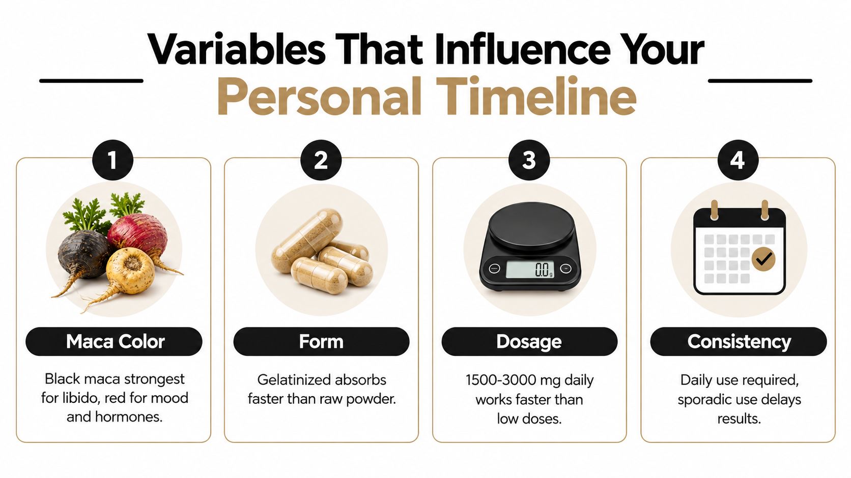 An infographic showing four key factors that influence how long maca root takes to work effectively.