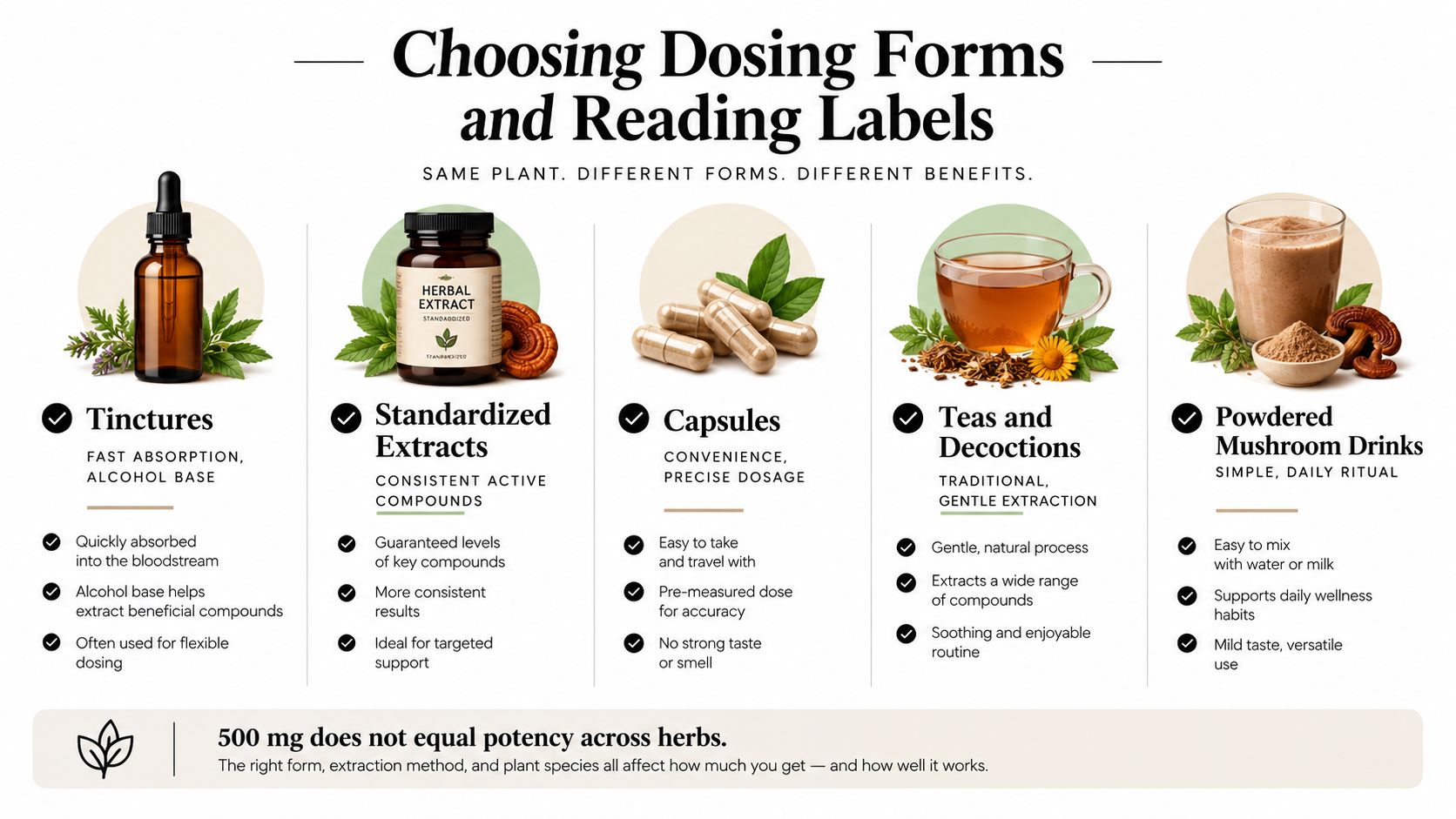 An infographic showing different herbal dosing forms like tinctures, extracts, capsules, teas, and mushroom powders.