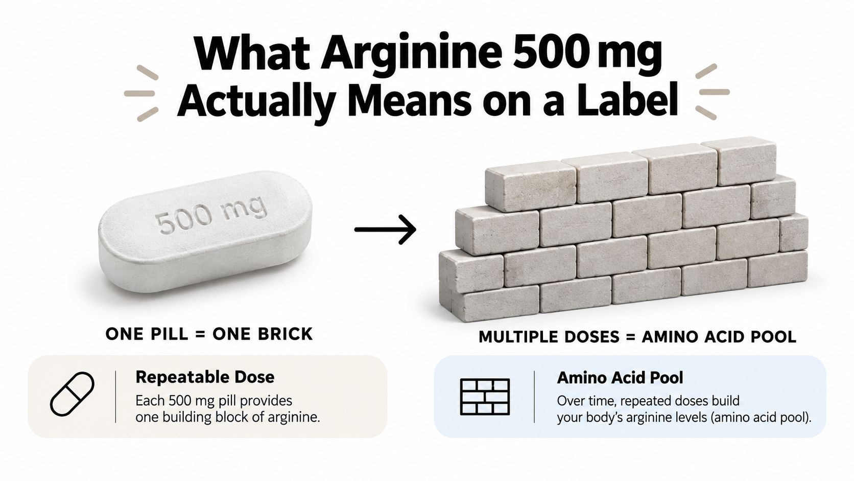 An infographic showing that a 500mg arginine pill acts as a brick building up an amino acid pool.