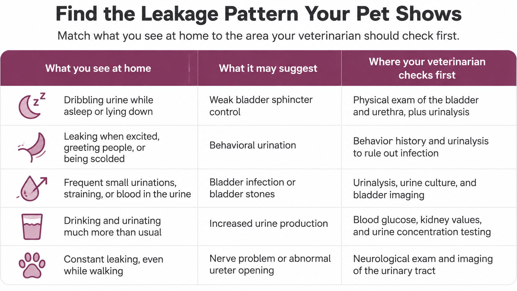 A chart explaining common pet urinary leakage patterns, possible causes, and recommended veterinarian diagnostic tests to perform.