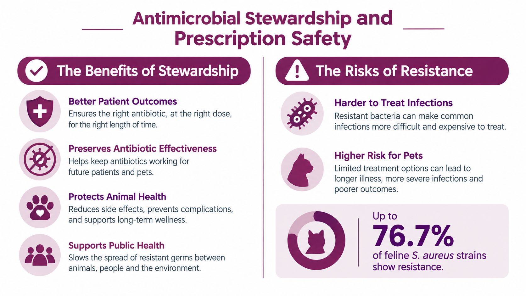 An infographic titled Antimicrobial Stewardship and Prescription Safety highlighting the benefits and risks of antibiotic use.