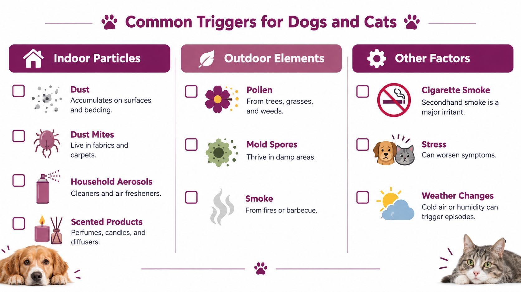 A chart illustrating common environmental triggers for pet allergies, categorized into indoor particles, outdoor elements, and other factors.