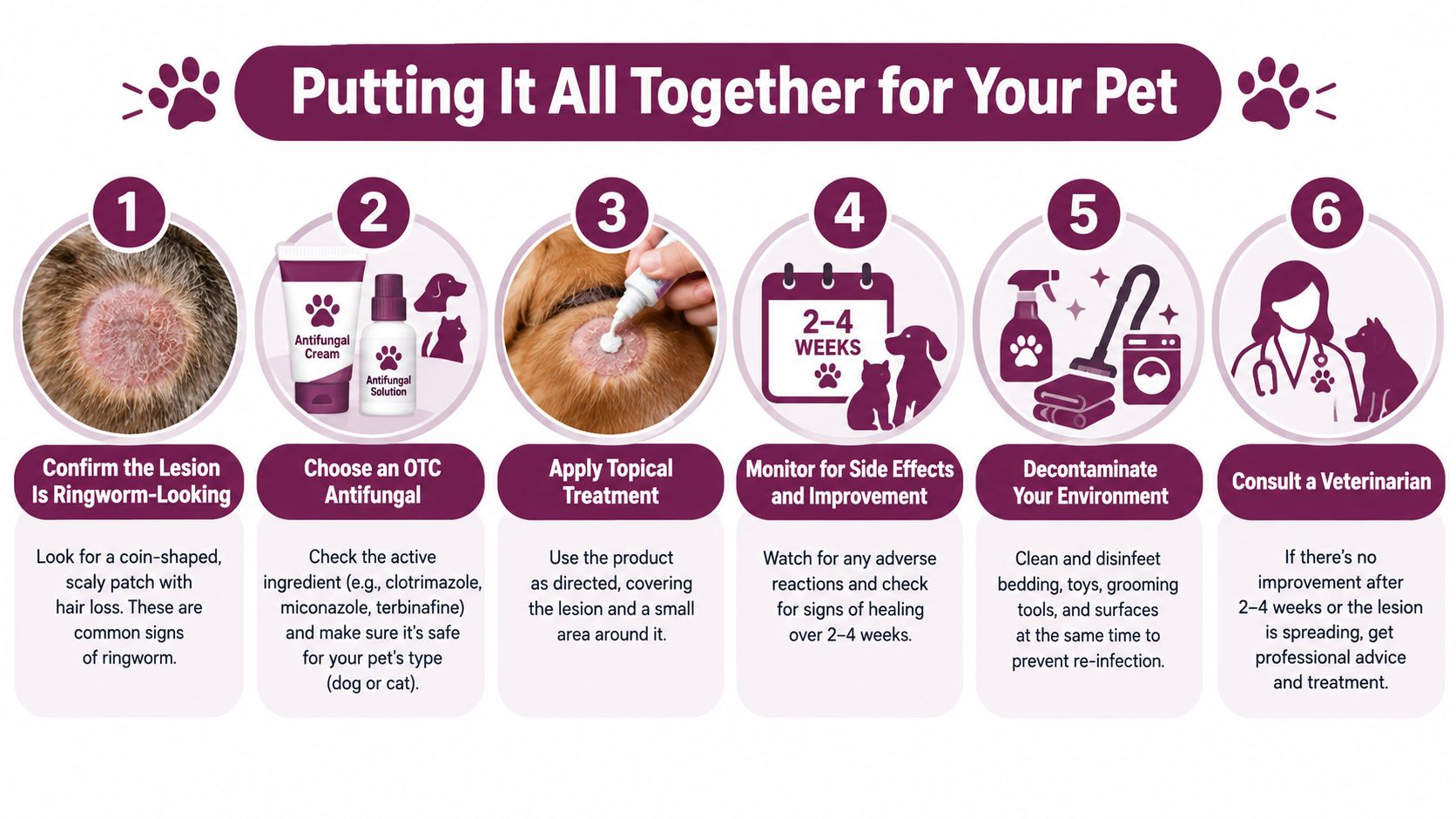 An infographic showing six steps for treating pet ringworm, from identification to environmental cleaning and veterinary consultation.