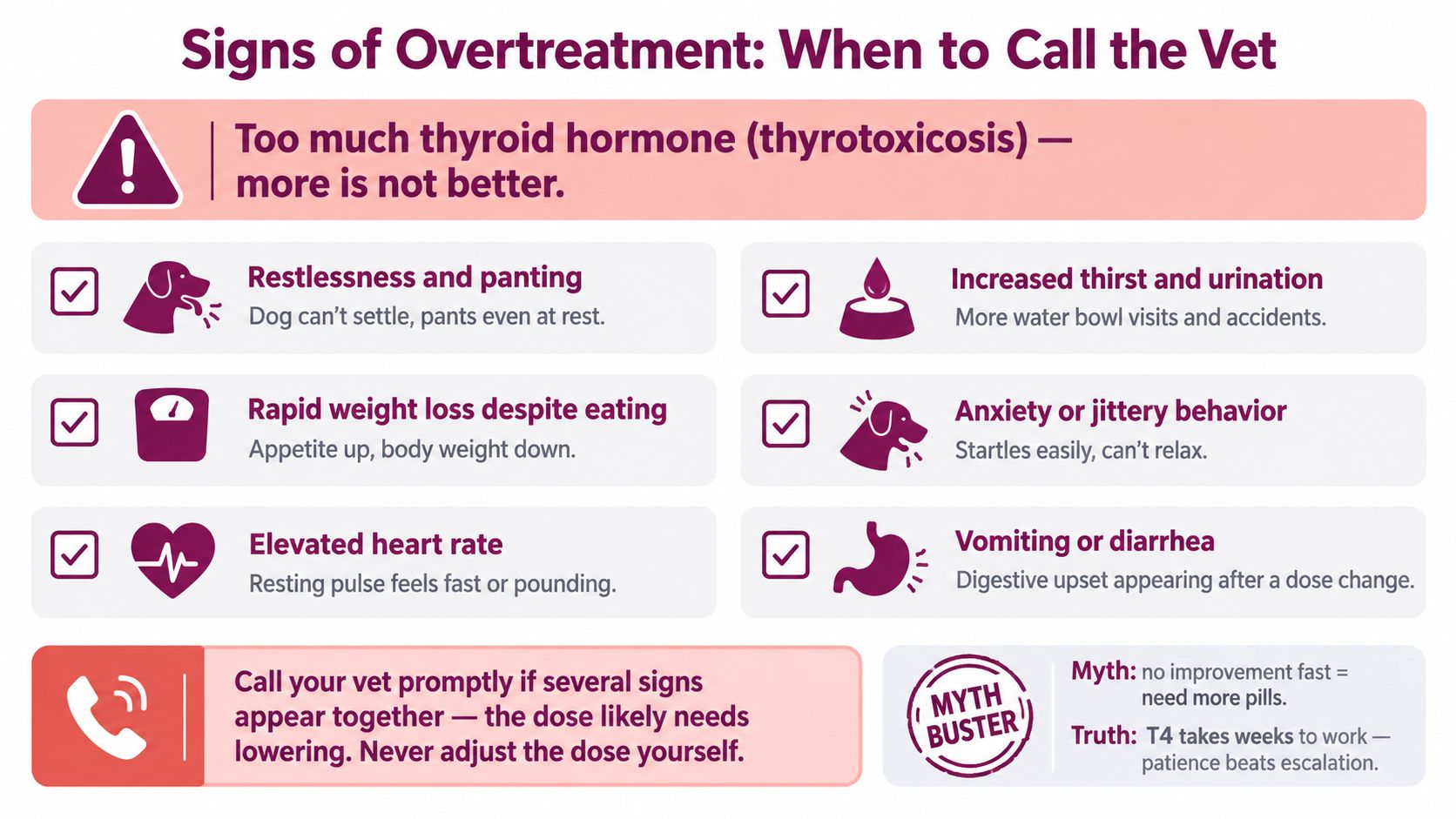 An infographic detailing signs of thyroid hormone overtreatment in dogs, such as restlessness, weight loss, and anxiety.