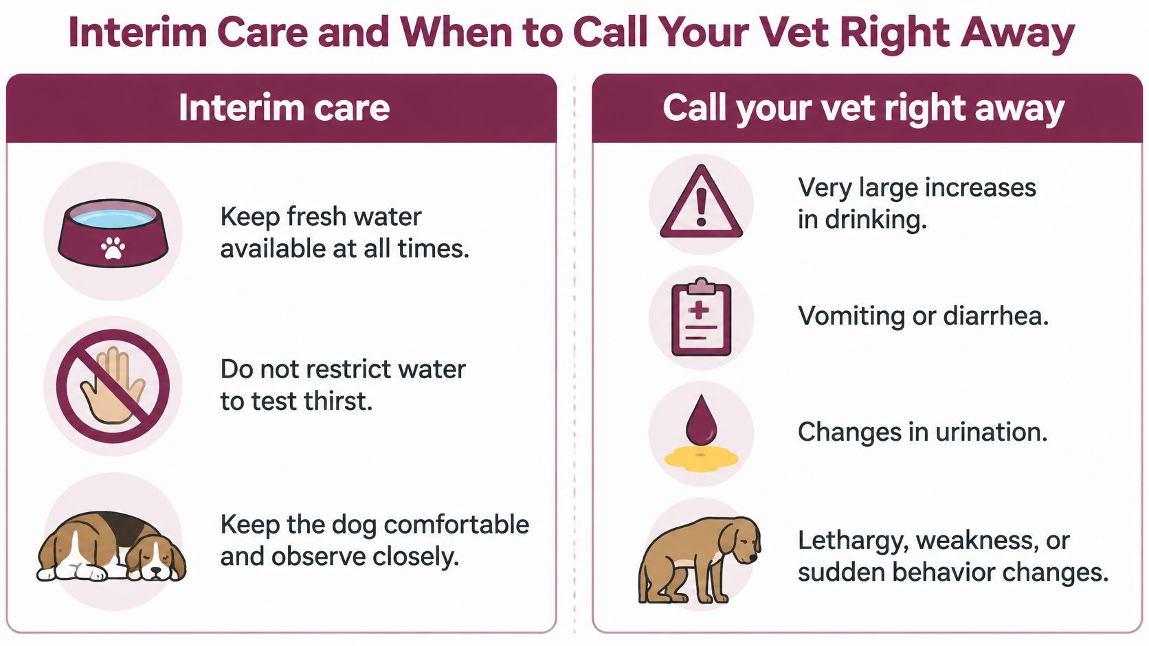 An infographic titled Interim Care and When to Call Your Vet, outlining pet care guidelines.
