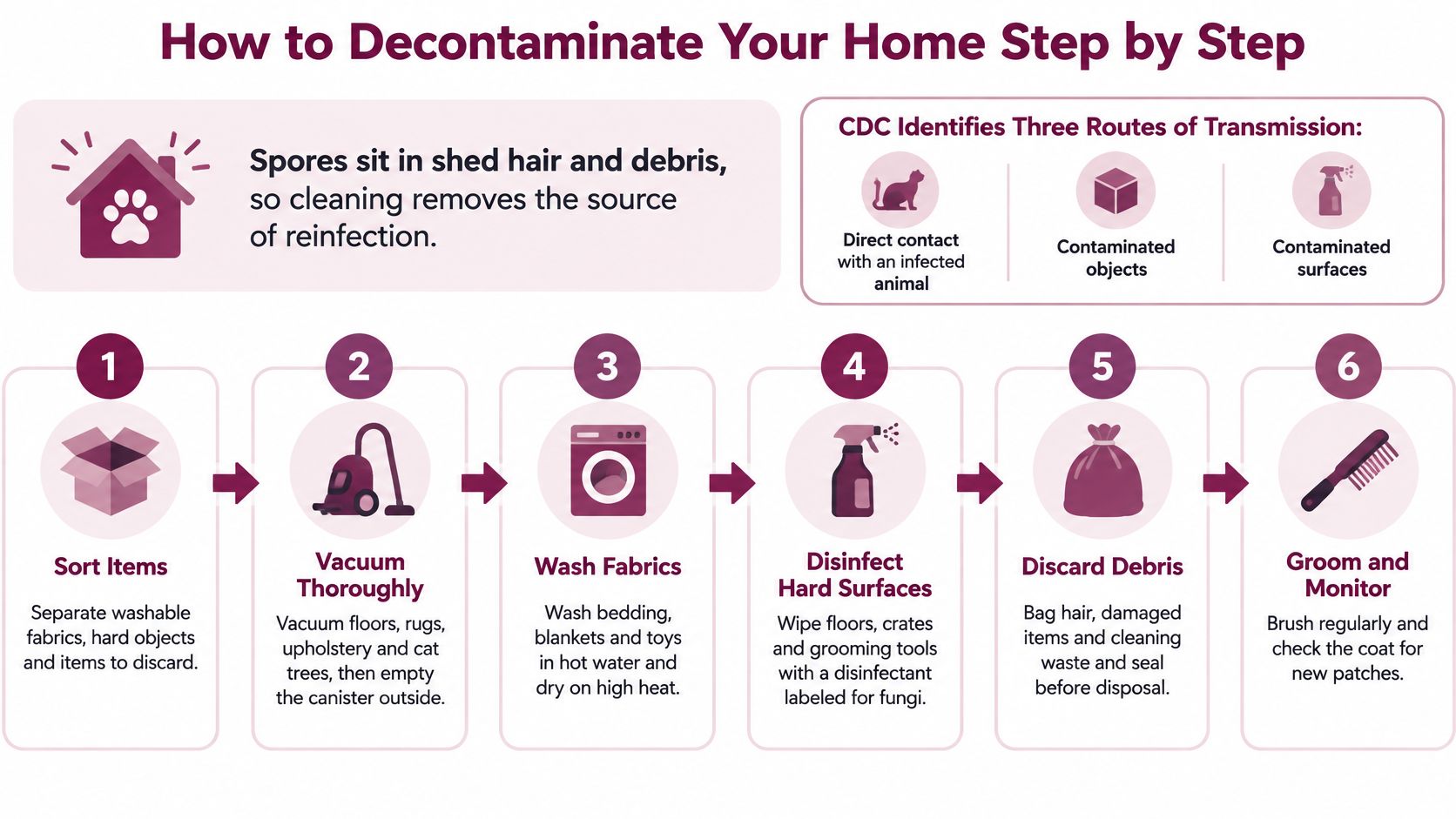 A step-by-step infographic showing how to decontaminate a home to prevent ringworm reinfection from pets.