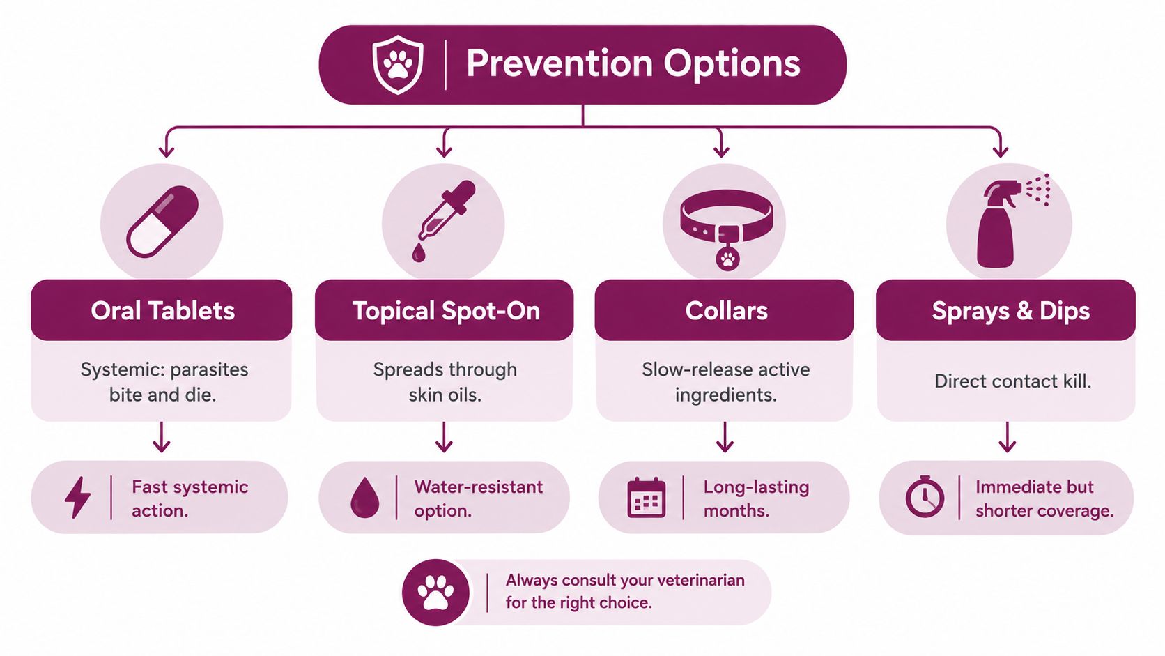 An infographic showing four pet parasite prevention options: oral tablets, topical spot-on, collars, and sprays and dips.