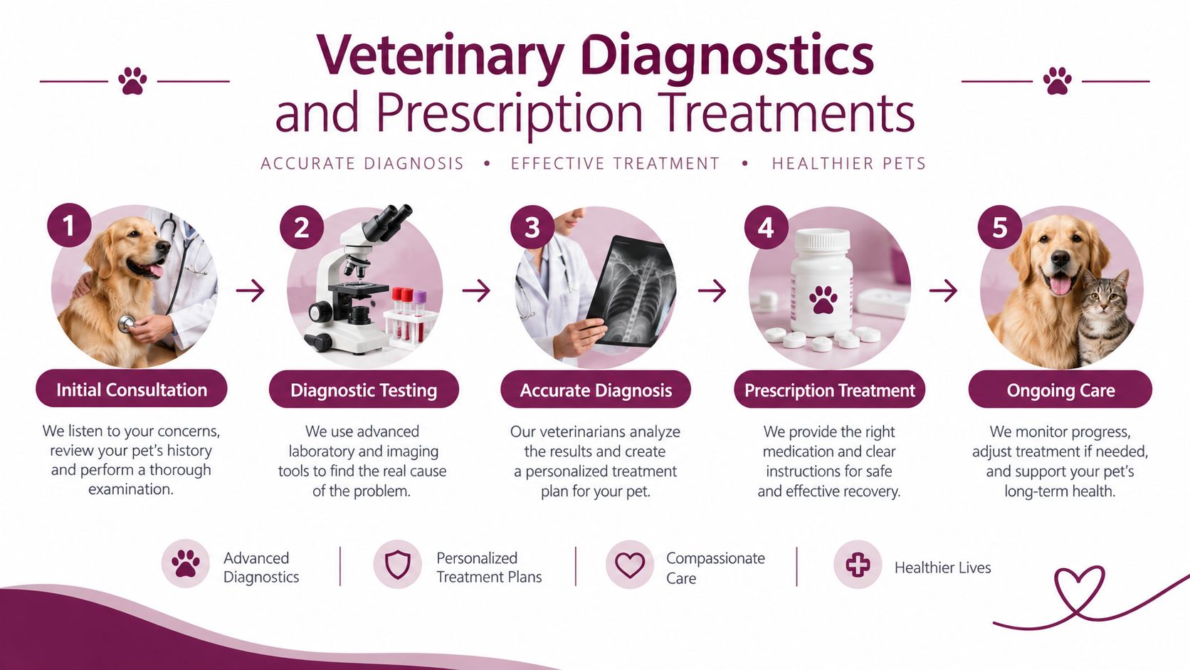A step-by-step infographic showing the veterinary process from initial consultation to ongoing care for pets.