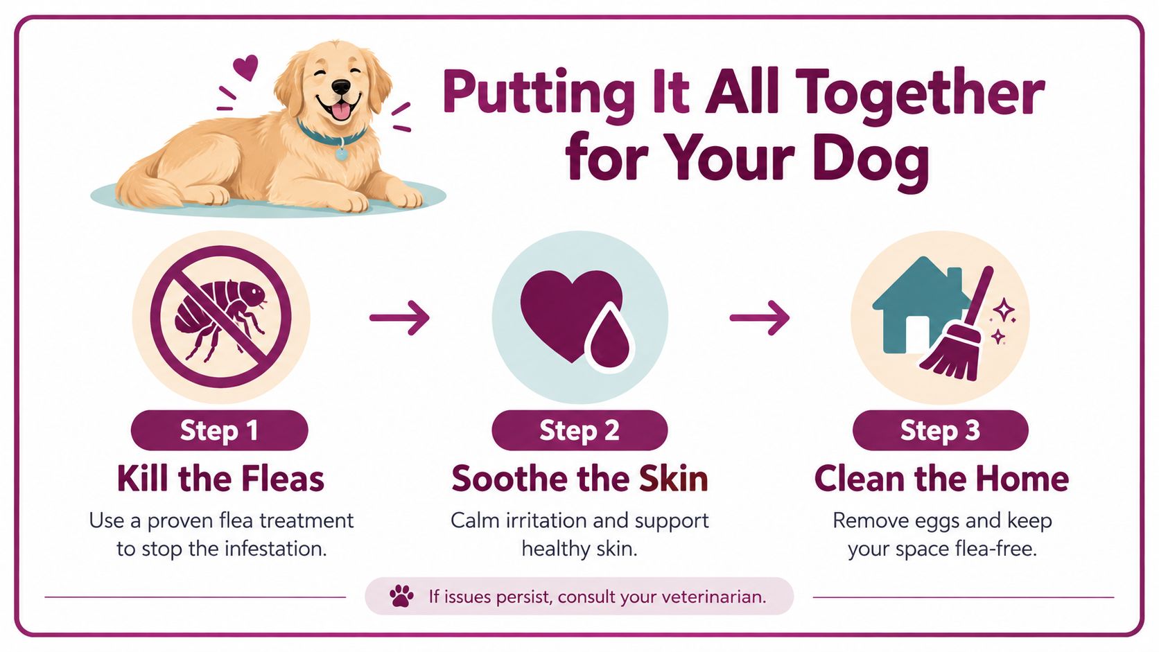 A three-step infographic on treating dog skin irritation caused by fleas, showing steps to eliminate parasites.