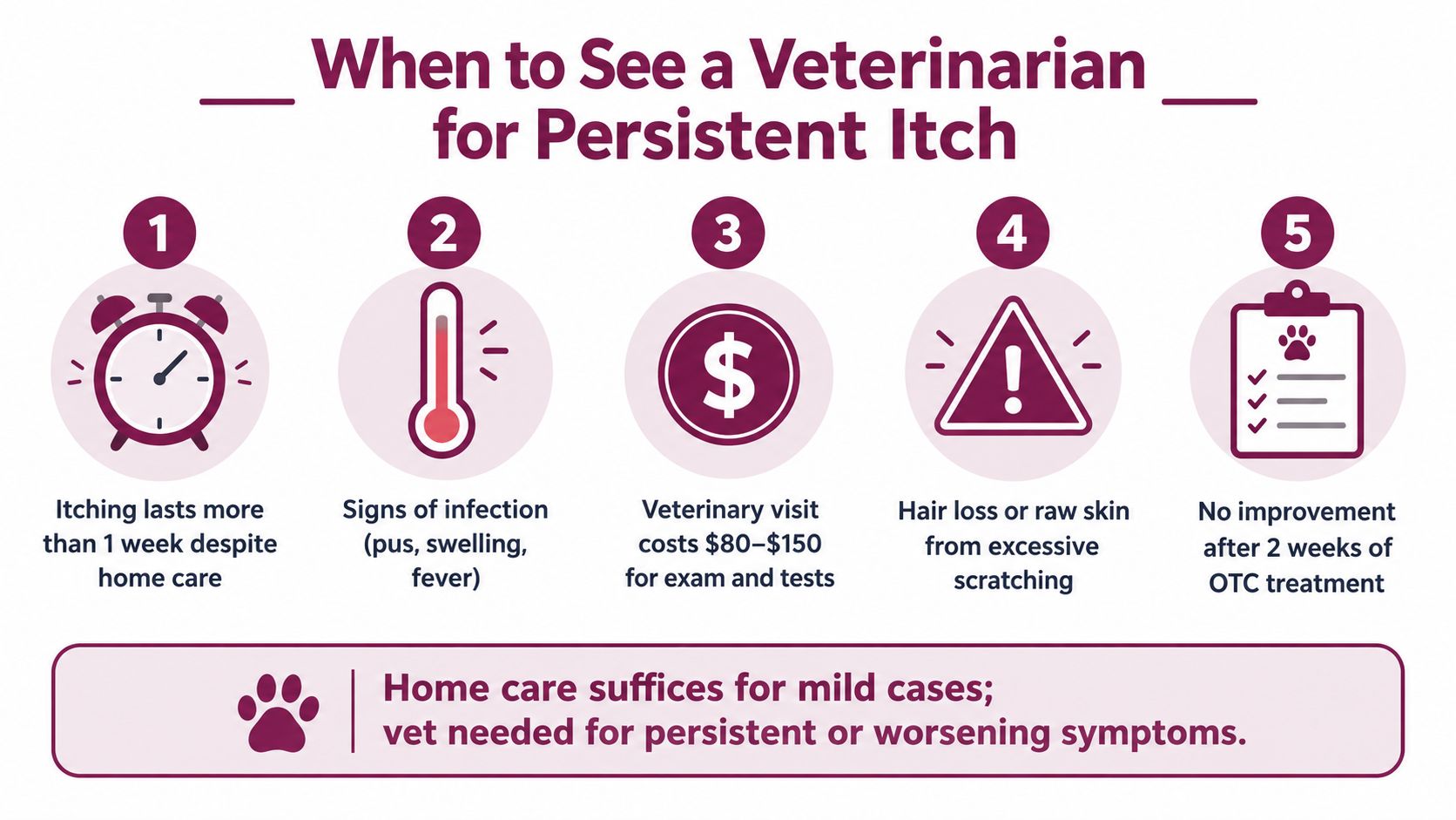 An infographic detailing five specific situations when pet owners should consult a veterinarian for persistent itching.
