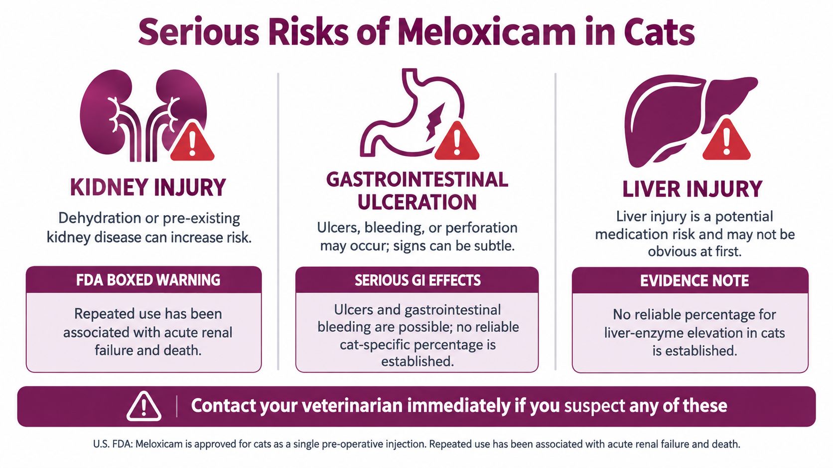 An infographic detailing the serious health risks and potential side effects of meloxicam medication for cats.