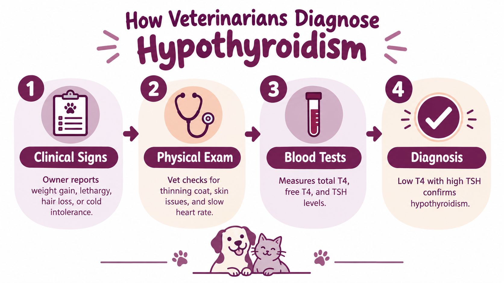 An infographic detailing the four steps veterinarians take to diagnose hypothyroidism in pets, including clinical signs and testing.