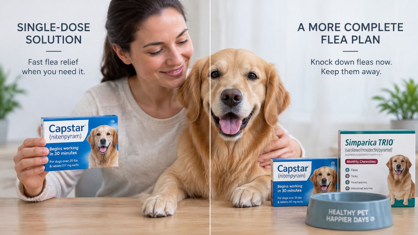 A woman sits with her dog next to boxes of Capstar and Simparica Trio flea treatment products.