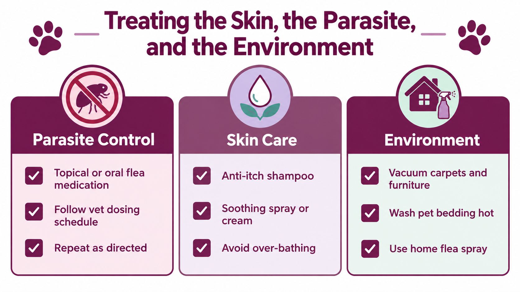 A helpful infographic about treating dog skin irritation, parasite control, skin care, and environmental flea management.