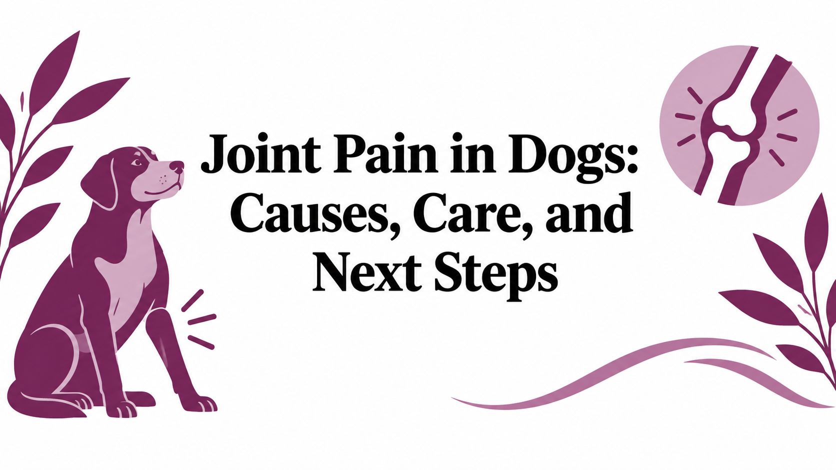 Joint Pain in Dogs: Causes, Care, and Next Steps