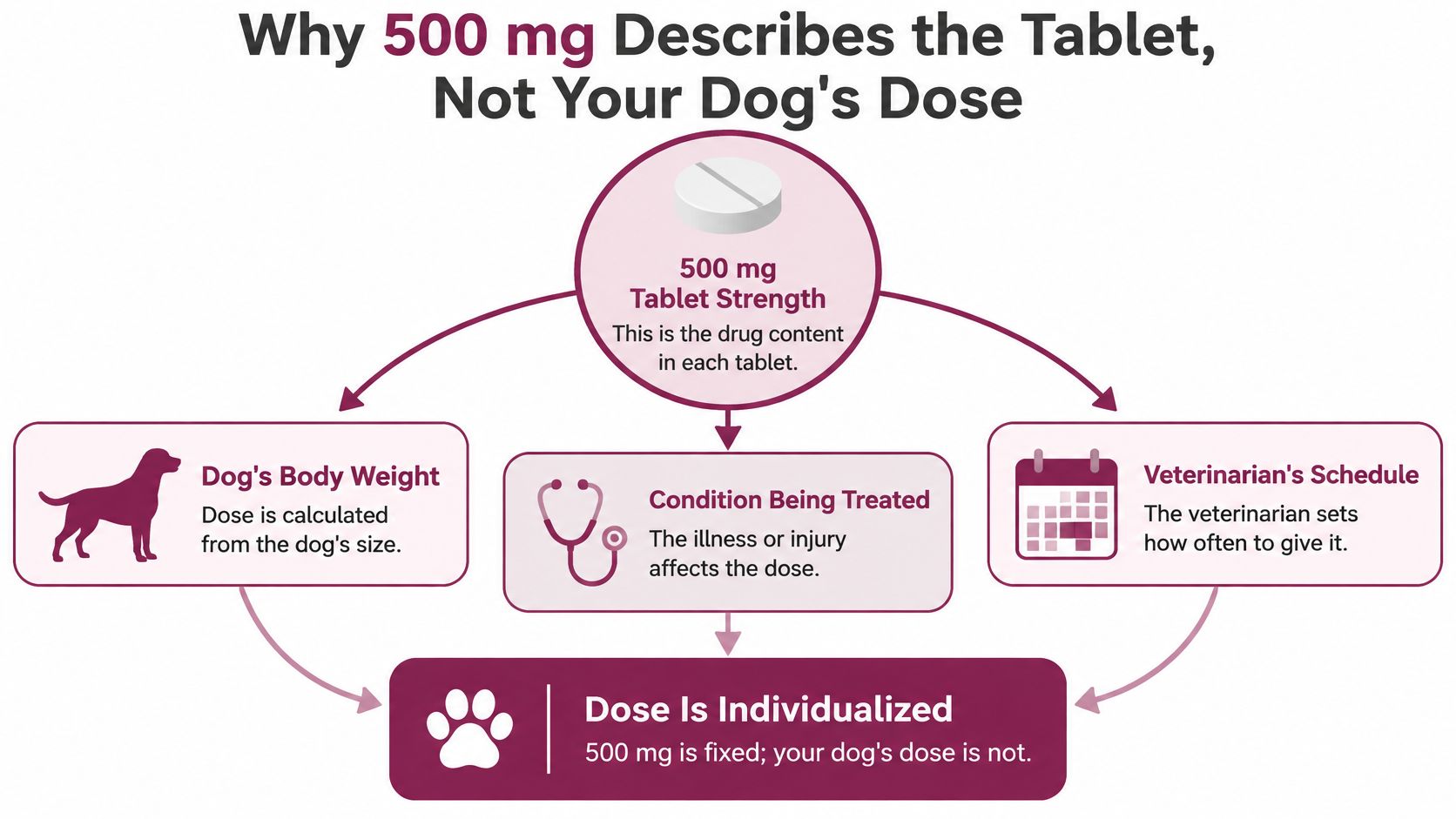 An infographic explaining that 500 mg refers to the tablet strength, while the actual dose for dogs varies.
