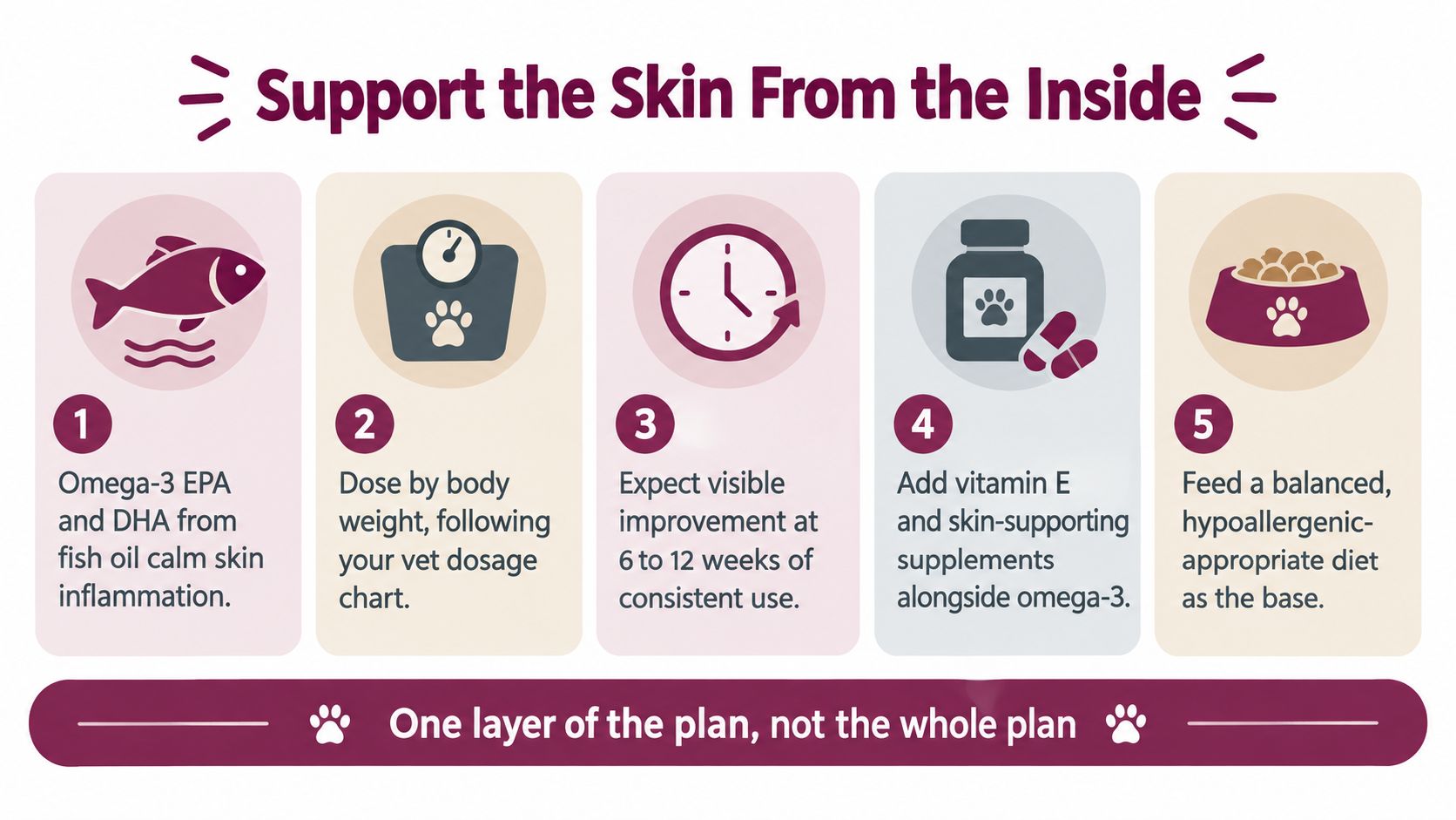 A five-step guide on how to support a dog's skin health from the inside through proper nutrition.