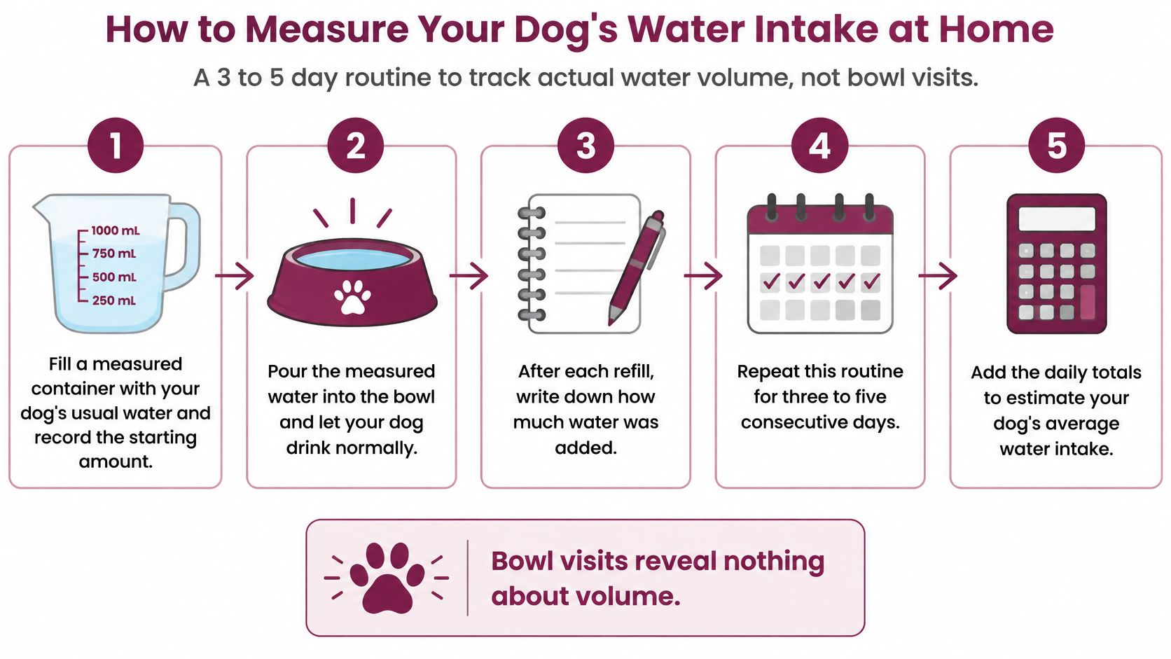 A five-step infographic showing how to measure a dog's daily water intake using a measuring cup.