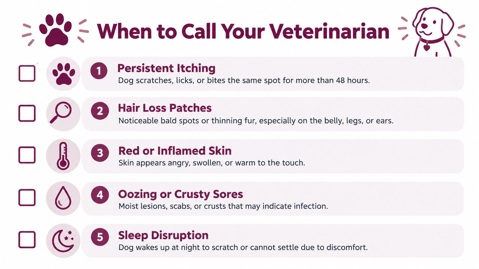 An infographic list outlining five signs of dog skin allergies that indicate when to see a veterinarian.